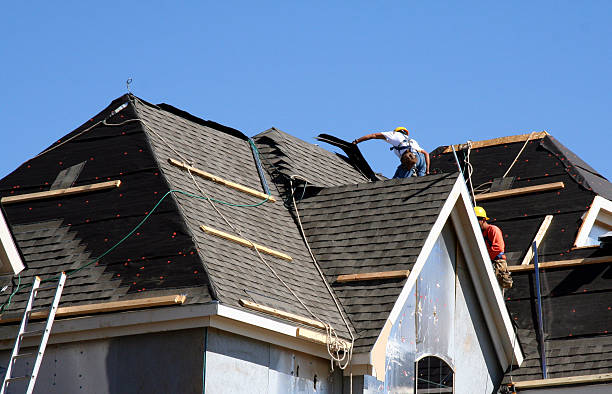 Best Roof Gutter Cleaning  in Wellsville, UT